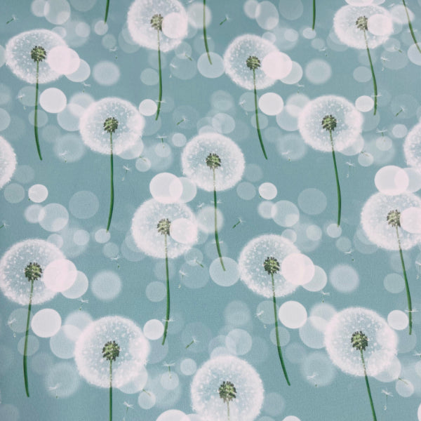 Pusteblume