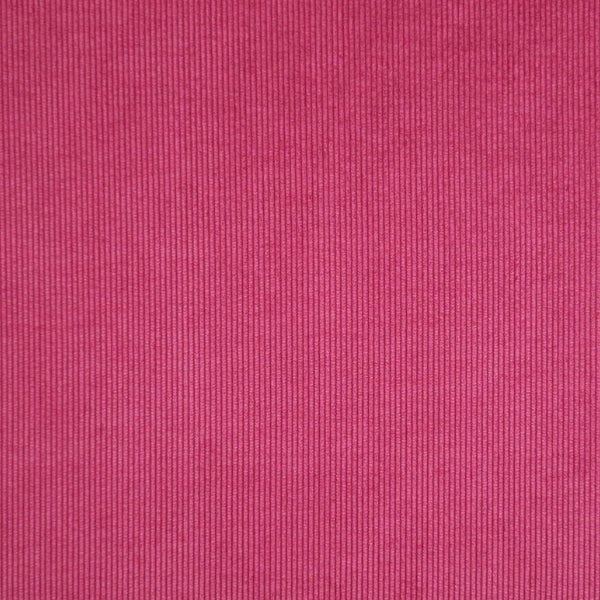 Magenta Dream!