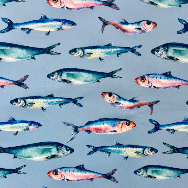 Blue Fish