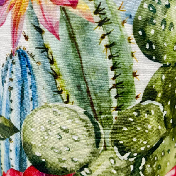 Cactus Dream