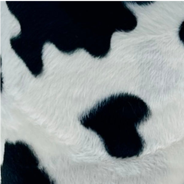 Hello Cow!