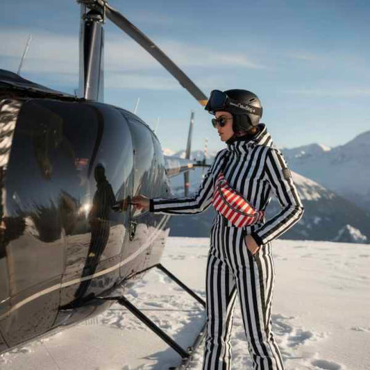SkiBag_Alpine Stripe