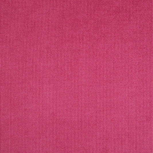 Magenta Dream!