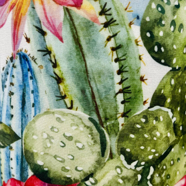 Cactus Dream