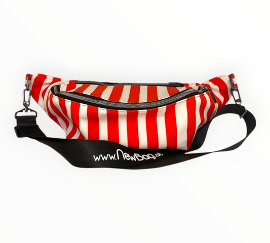 SkiBag_Alpine Stripe