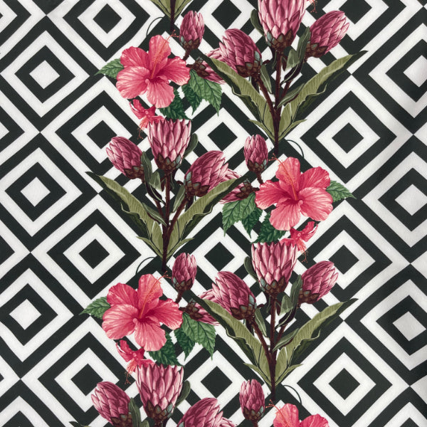 Hibiskus Noir